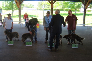 Podium male ouverte